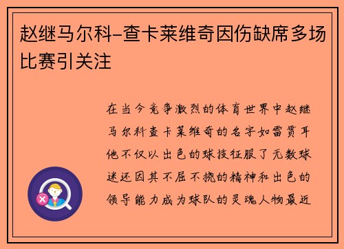 赵继马尔科-查卡莱维奇因伤缺席多场比赛引关注